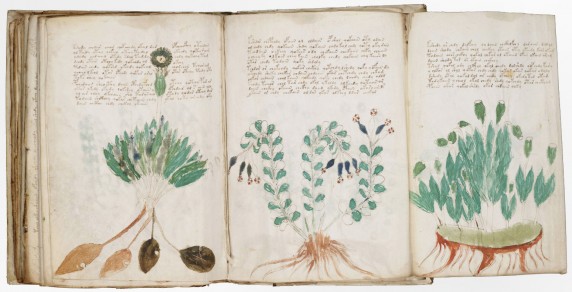 Voynich Yazması