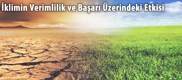 İklim, başarı ve zeka ilişkisi