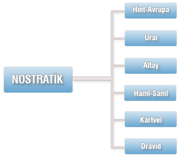 Nostratik büyük dil ailesi ve alt dil aileleri